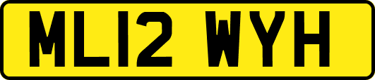 ML12WYH