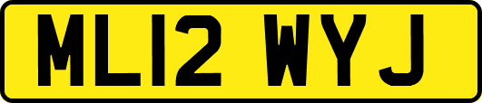 ML12WYJ