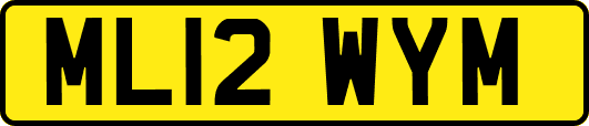 ML12WYM
