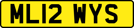 ML12WYS