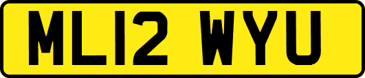 ML12WYU