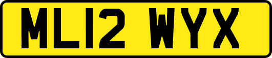 ML12WYX