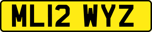 ML12WYZ