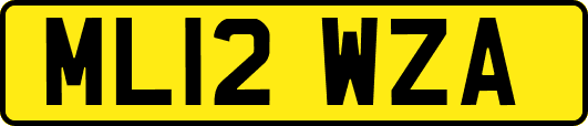 ML12WZA