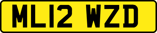 ML12WZD