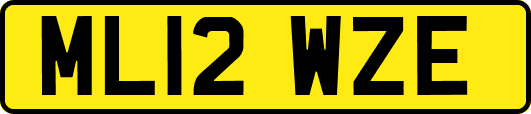 ML12WZE
