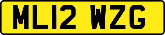 ML12WZG