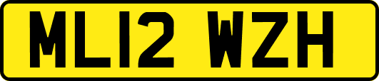 ML12WZH