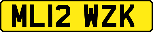 ML12WZK