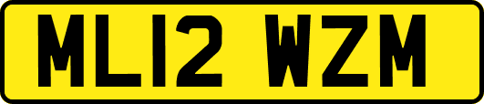 ML12WZM