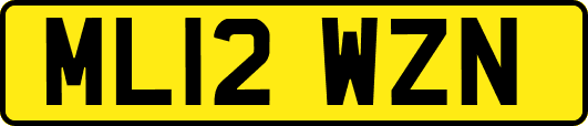 ML12WZN