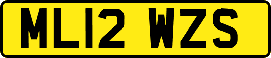 ML12WZS