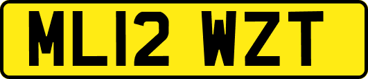ML12WZT