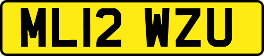 ML12WZU