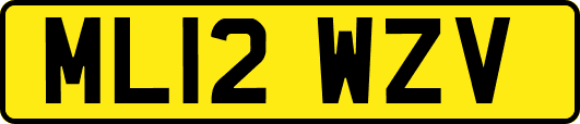 ML12WZV