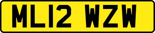 ML12WZW