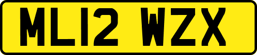 ML12WZX