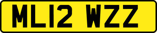 ML12WZZ