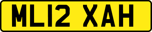 ML12XAH