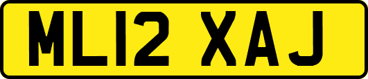 ML12XAJ
