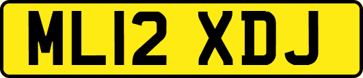 ML12XDJ