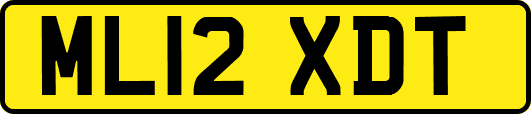 ML12XDT