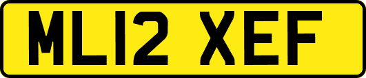 ML12XEF