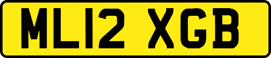 ML12XGB