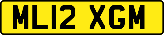 ML12XGM