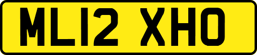 ML12XHO