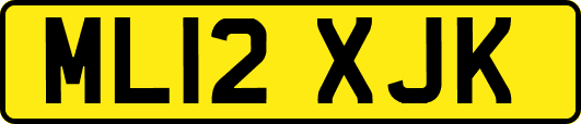 ML12XJK