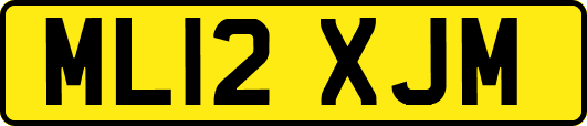 ML12XJM