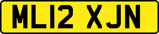 ML12XJN
