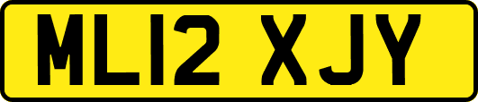 ML12XJY