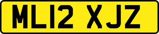 ML12XJZ