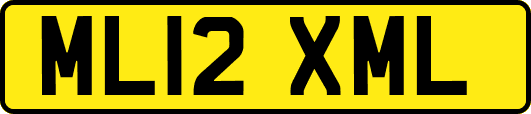 ML12XML