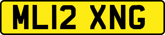 ML12XNG
