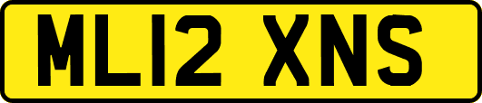 ML12XNS