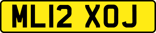 ML12XOJ