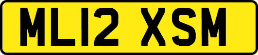 ML12XSM
