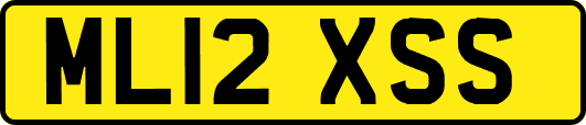 ML12XSS