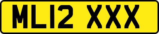 ML12XXX