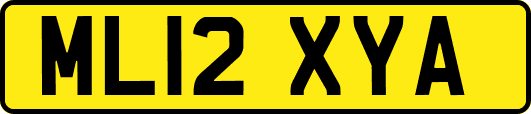 ML12XYA