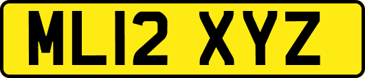 ML12XYZ
