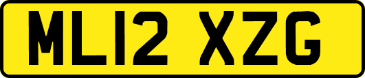 ML12XZG
