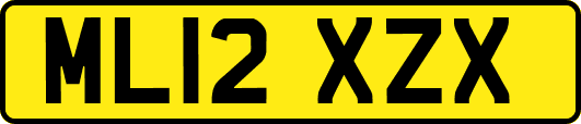 ML12XZX