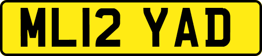 ML12YAD