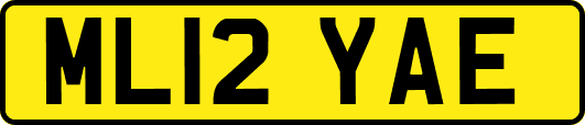 ML12YAE