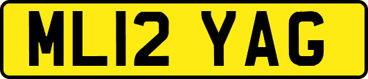 ML12YAG