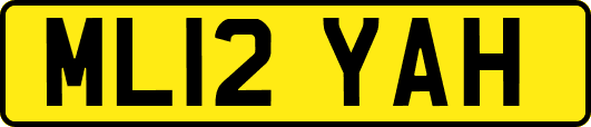 ML12YAH